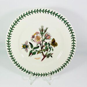 Portmeirion The Botanic Garden 10.5” Plate Rosa Canina Dog Rose